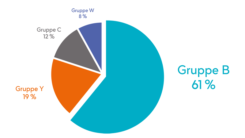 Kreisdiagramm zur Häufigkeit der Meningokokken-Serogruppen